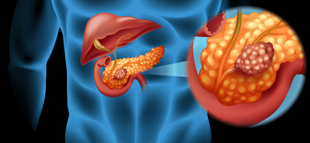 Pancreatic Function Test