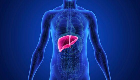 Liver Functions Test